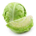 New Crop Round Shape Chinese Fresh Cabbage